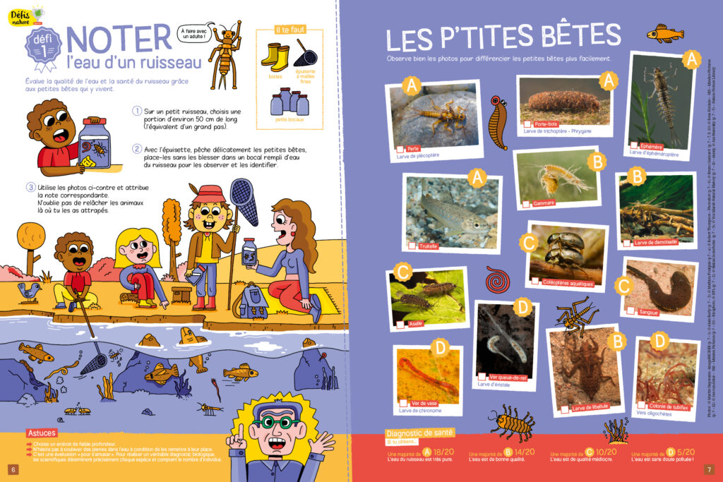catalogue