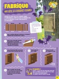 SAJ161 tuto gite chauve souris